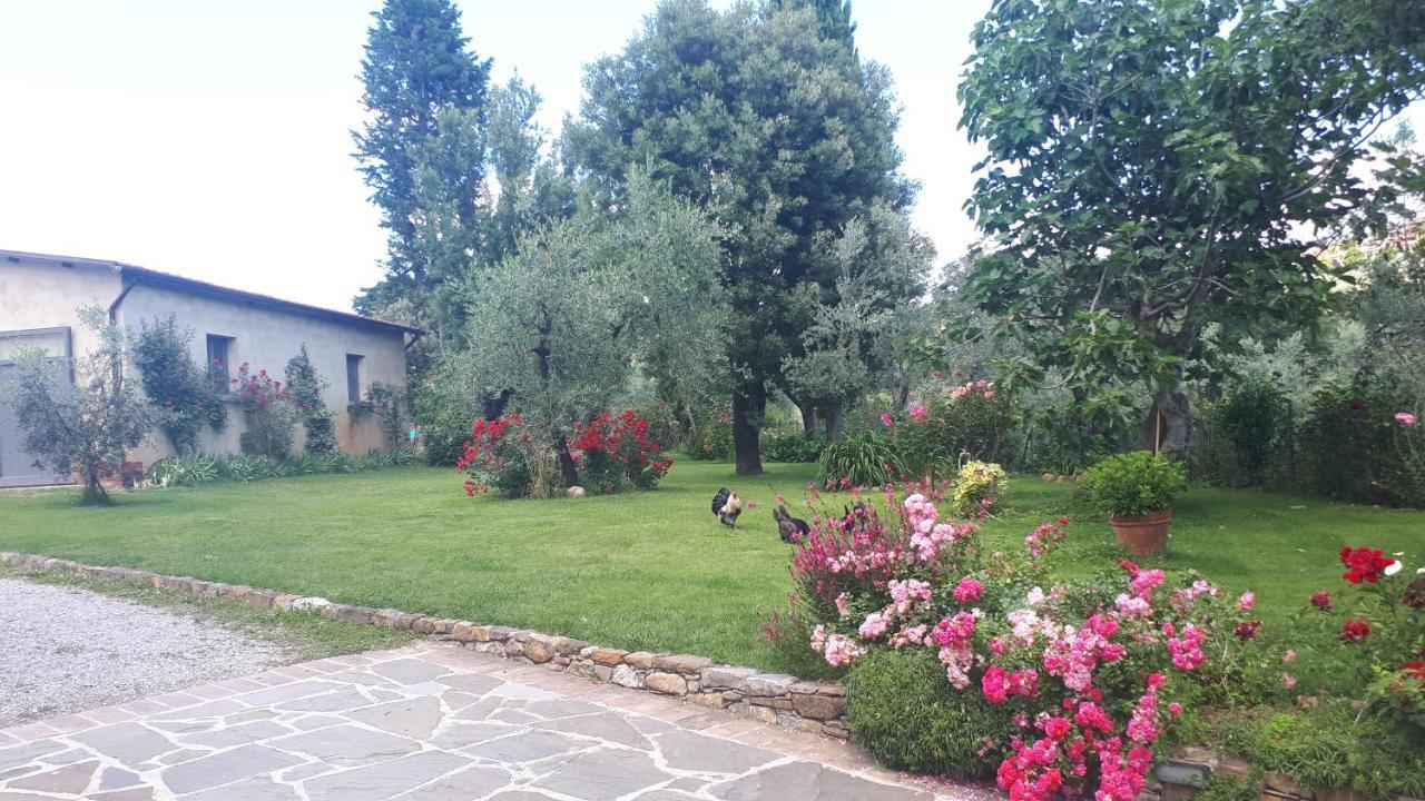 B&B L'Oliveto Lucignano Luaran gambar